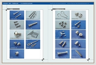 產(chǎn)品展示之三,華人螺絲網(wǎng)提供各種產(chǎn)品展示之三報(bào)價(jià)、價(jià)格、生產(chǎn)廠家、供應(yīng)商-HK榮興公司;威信柏五金制品廠